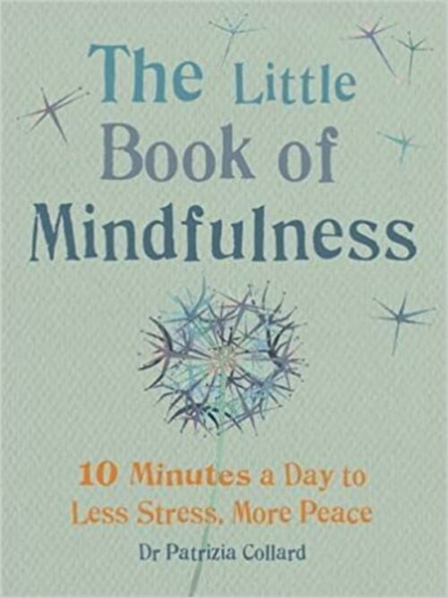 Book | The Little Book Of Mindfulness | Take Good Care