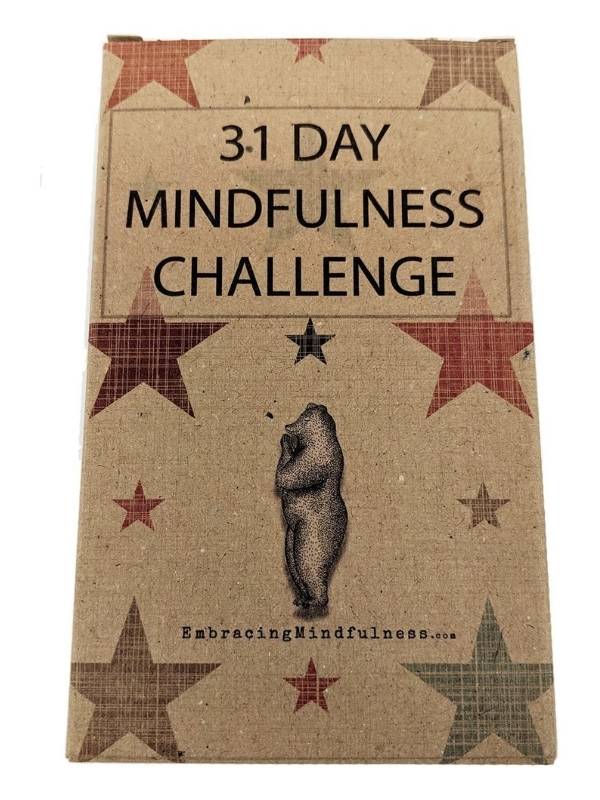 Book | 31 Day Mindfulness Challenge | Take Good Care